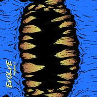 Пиво Evolve! Morph 5