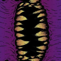 Пиво Evolve! Morph 1 Пиво Evolve! Morph 1