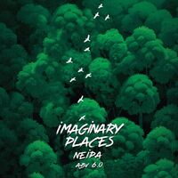 Пиво Imaginary Places