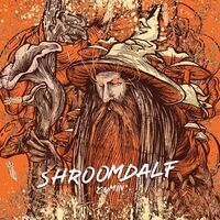 Пиво Shroomdalf Cumin Пиво Shroomdalf Cumin