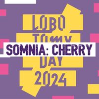 Пиво Somnia: Cherry