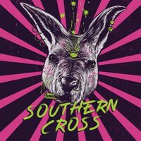 Пиво Southern Cross