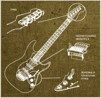 Пиво Stereo-Type