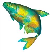 Пиво Белоглазка