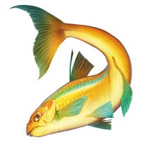 Пиво Быстрянка