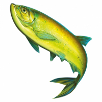 Пиво Чехонь