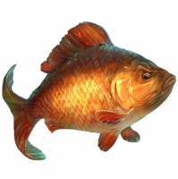 Пиво Карась