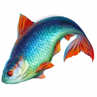 Пиво Плотва