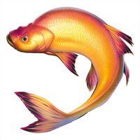 Пиво Верхогляд