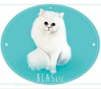 Пиво Blas GSC Пиво Blas GSC