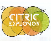 Пиво Citric Explosion