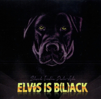 Пиво ELVIS IS B(L)ACK
