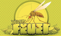 Пиво Yellow Fever