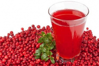 Пиво Купальская ночь: Exp.2 (клюква)