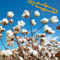 Пиво Javeliner Weisse