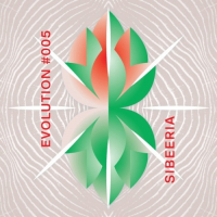 Пиво Evolution #005