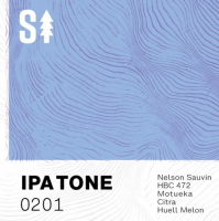 Пиво IPA TONE 0201 (NEIPA: Nelson Sauvin, HBC 472, Motueka, Citra, Huell Melon) Пиво IPA TONE 0201 (NEIPA: Nelson Sauvin, HBC 472, Motueka, Citra, Huell Melon)