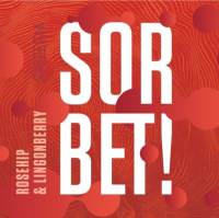 Пиво Rosehip & Lingonberry Sorbet