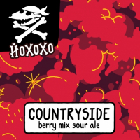 Пиво Countryside: Berry Mix