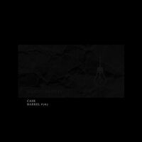 Пиво Silent Barrel #767 (Cask Craft Spirits) Пиво Silent Barrel #767 (Cask Craft Spirits)