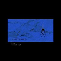 Пиво Silent Barrel #798 (Cask Craft Spirits)