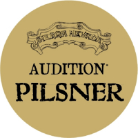 Пиво Audition Pilsner