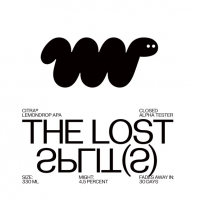 Пиво The Lost Splits