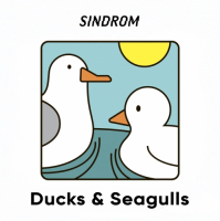 Пиво Ducks & Seagulls