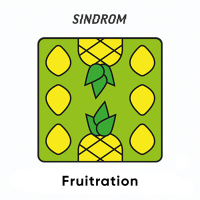 Пиво Fruitration [Pineapple + Lemon + Vanilla]