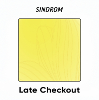 Пиво Late Checkout
