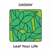 Пиво Leaf Your Life
