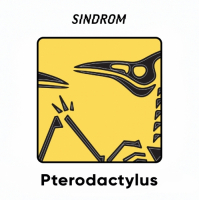 Пиво Pterodactylus