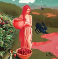 Пиво So Vinous Raspberry