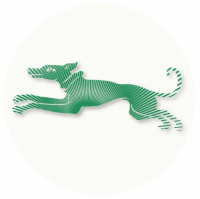 Пиво Damme Nation Пиво Damme Nation