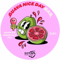 Пиво Guava Nice Day Bab