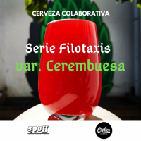 Пиво Serie Filotaxis Var. Cerembuesa