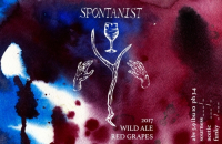Пиво Wild Ale Red Grape 2017 Пиво Wild Ale Red Grape 2017