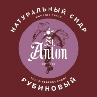 Пиво St. Anton Black Currant Cider (Черная Смородина) Пиво St. Anton Black Currant Cider (Черная Смородина)