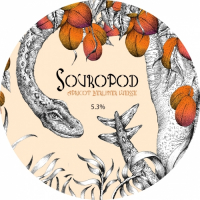 Пиво Souropod - Apricot Berliner Weisse