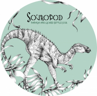 Пиво Souropod - Papaya & Lychee Kettle Sour