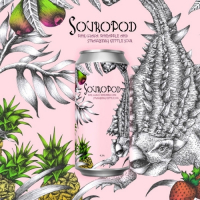 Пиво Souropod - Pink Guava, Pineapple, Strawberry Kettle Sour Пиво Souropod - Pink Guava, Pineapple, Strawberry Kettle Sour