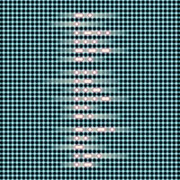 Пиво ReFresh Nelson Sauvin & Citra