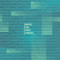 Пиво Back To the Roots