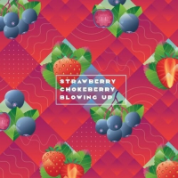 Пиво Blowing Up: Strawberry Chokeberry