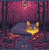 Пиво FUR