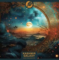 Пиво Kashmir Galaxy