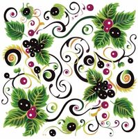 Пиво Le Petit Sauvage: Cassis