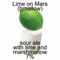 Пиво Lime On Mars(hmallow)