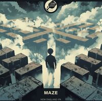Пиво Maze