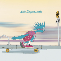 Пиво Silk Supersonic